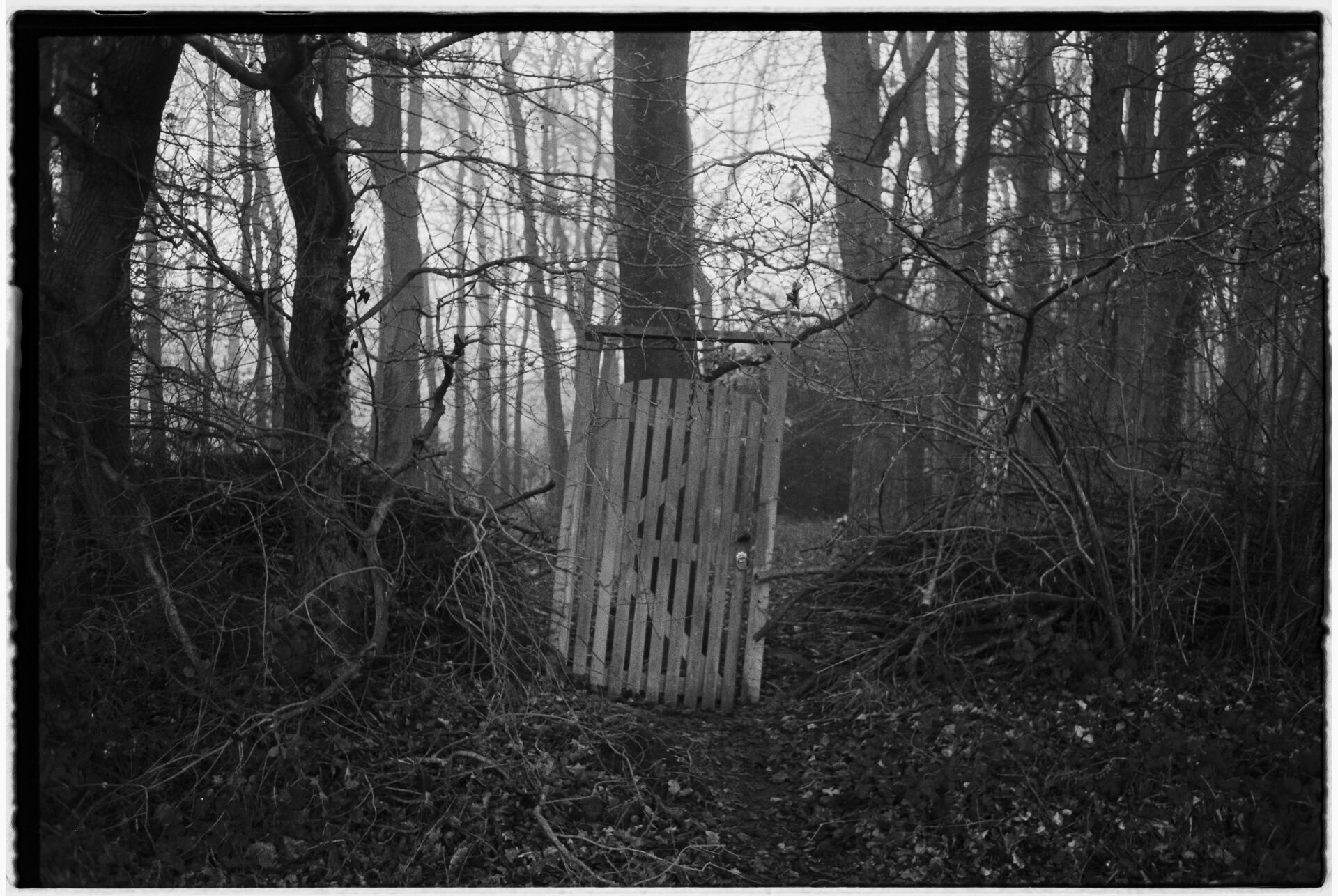 Untitled Untitled